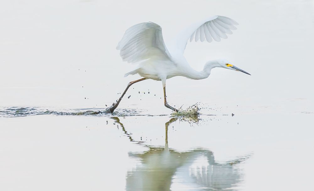 Untitled art print by Xiaobing Tian for $57.95 CAD