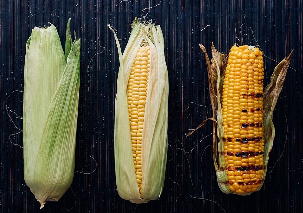 Foodprocess 1- Grilled Corn art print by Aleksandrova Karina for $57.95 CAD