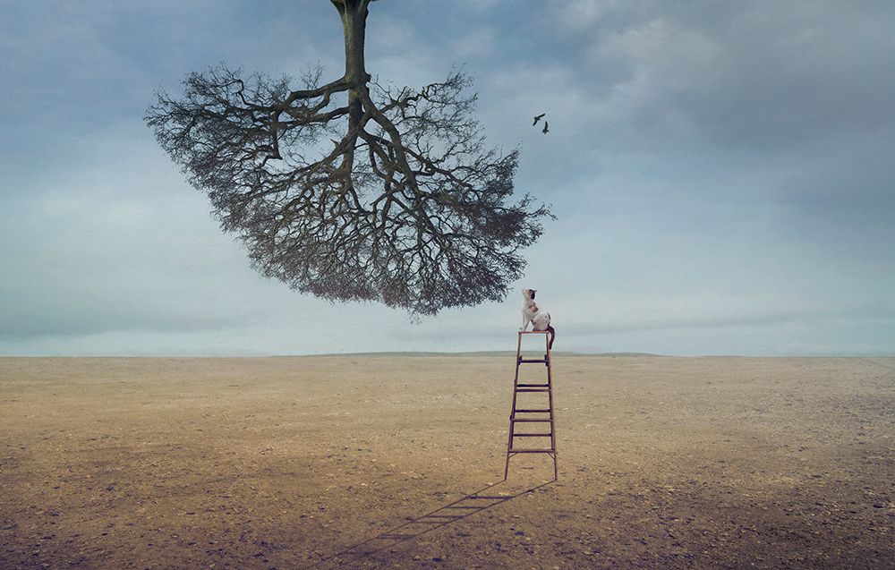 Were Birds art print by Sulaiman Almawash for $57.95 CAD