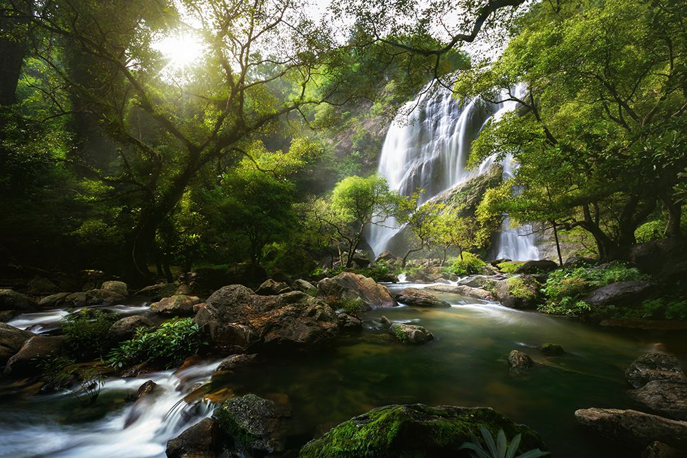 Mountain Stream art print by Patrick Foto for $57.95 CAD