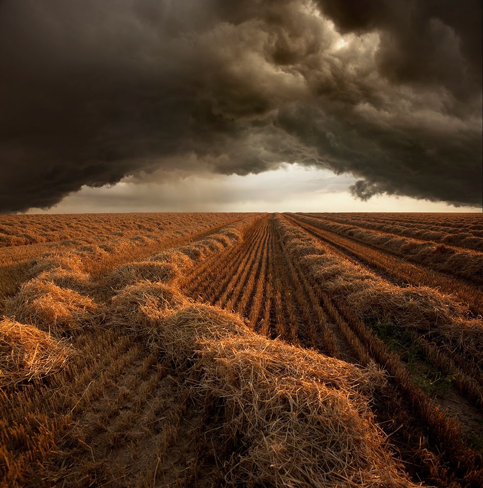 Untitled art print by Nicolas Schumacher for $57.95 CAD
