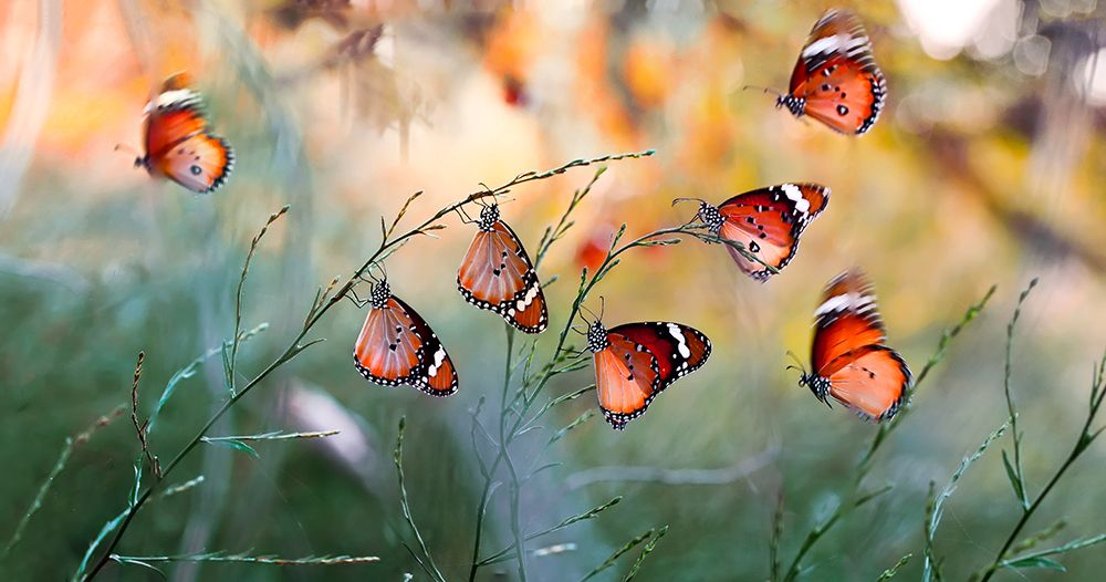 Family art print by Mustafa Ozturk for $57.95 CAD