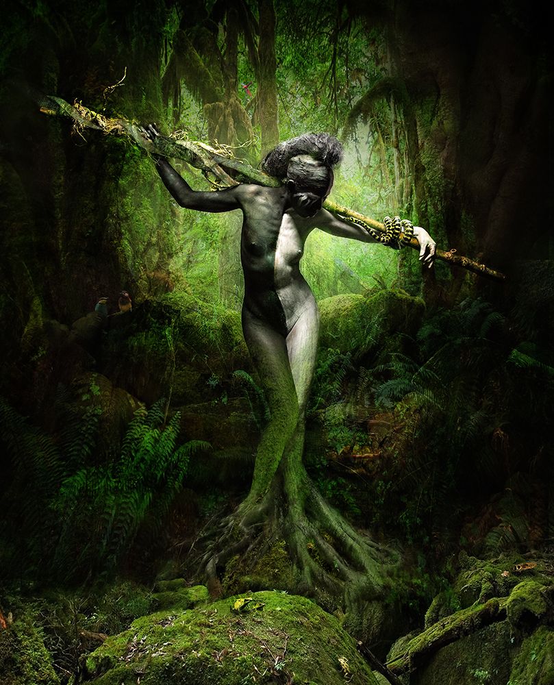 MOTHER NATURE I art print by Roy Lemme for $57.95 CAD