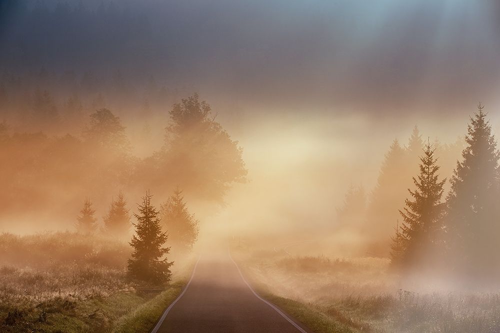 Magical Morning art print by Martin Motl for $57.95 CAD