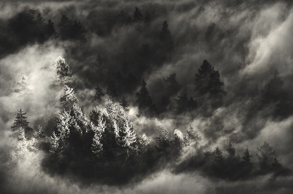 ... art print by Samir Pajic for $57.95 CAD