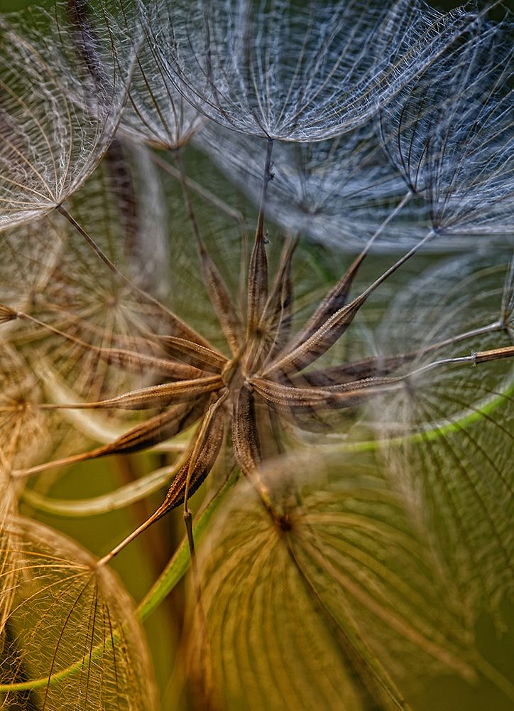 Inside art print by Kent Mathiesen for $57.95 CAD