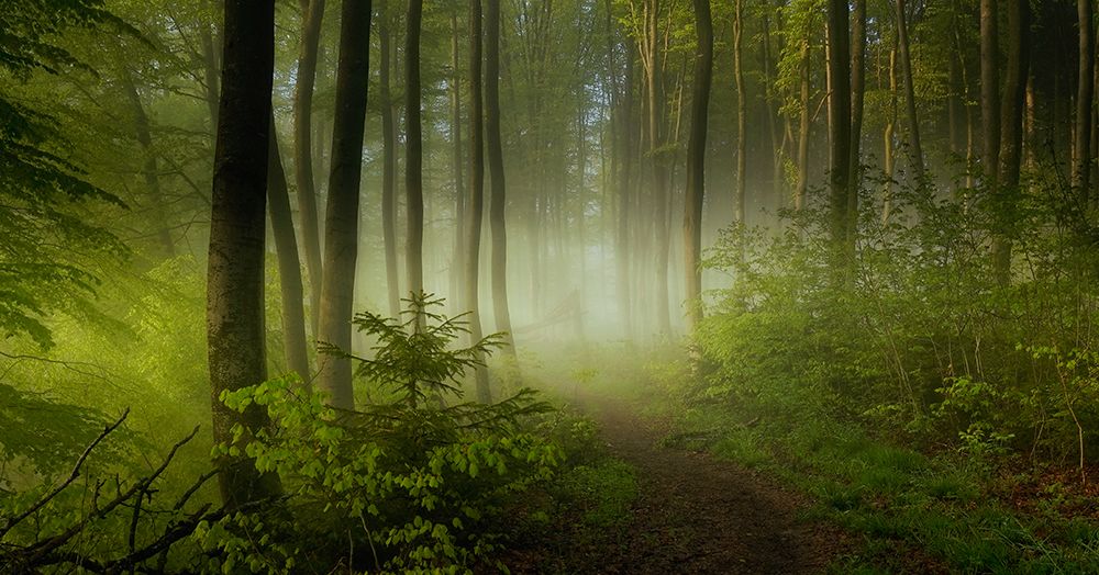 Early Fall art print by Norbert Maier for $57.95 CAD