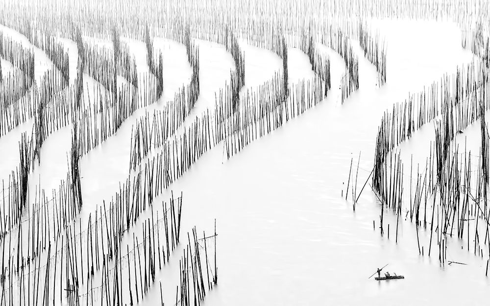 Fishing in the rain art print by Hua Zhu for $57.95 CAD