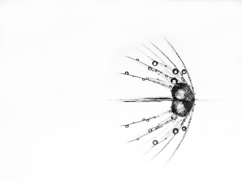 Reflection art print by Daan de Vos for $57.95 CAD