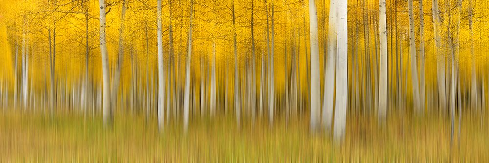 Autumn Dream art print by Mei Xu for $57.95 CAD