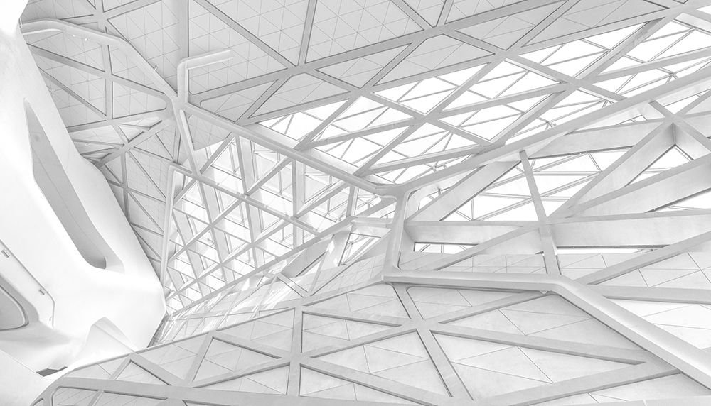 White Web art print by Ben Tam for $57.95 CAD