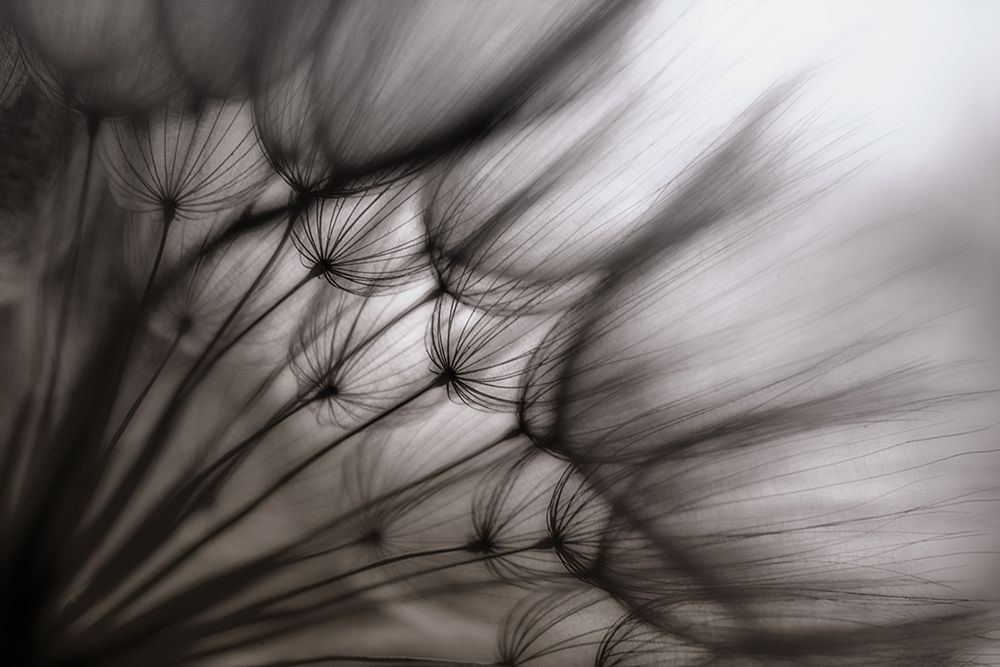 Untitled art print by Keren Or for $57.95 CAD
