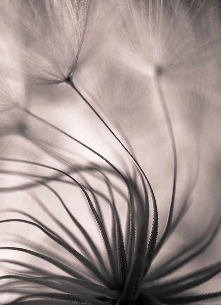 Untitled art print by Keren Or for $57.95 CAD