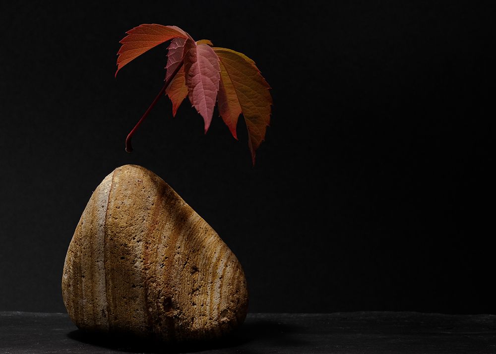 levitation art print by Thierry Lagandre for $57.95 CAD