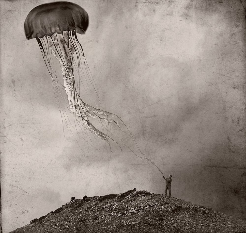 Tethered art print by Jeffrey Hummel for $57.95 CAD