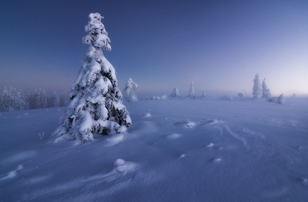 winter is back art print by Fabian Muller for $57.95 CAD