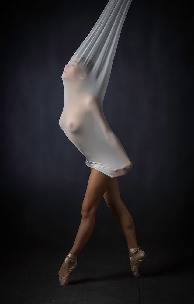 Sheer Stretch art print by Catchlight Studio for $57.95 CAD
