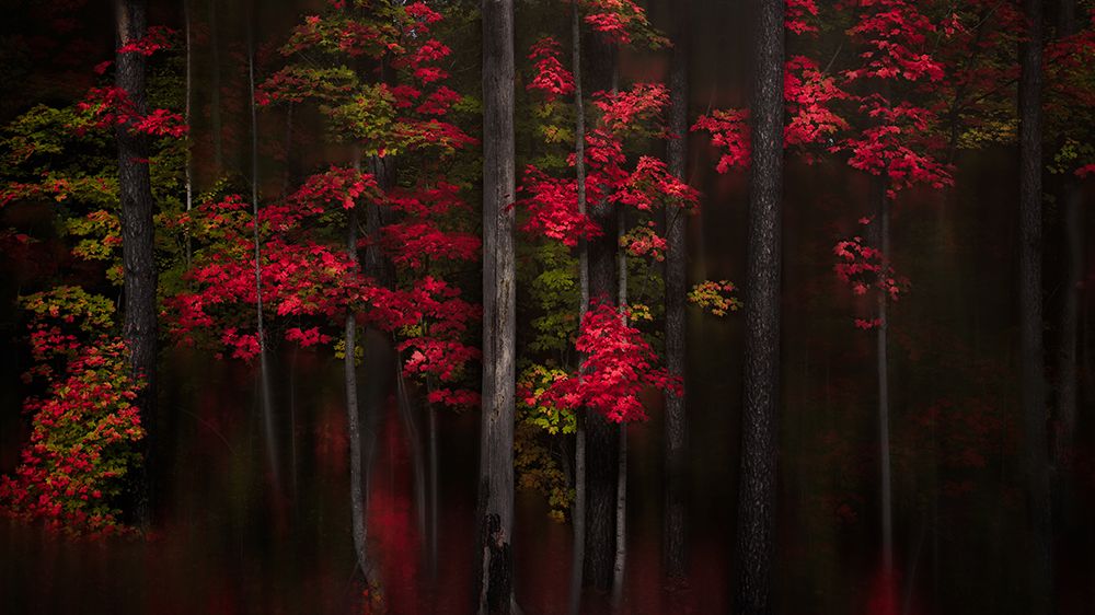 Getting Red art print by Andy Hu for $57.95 CAD