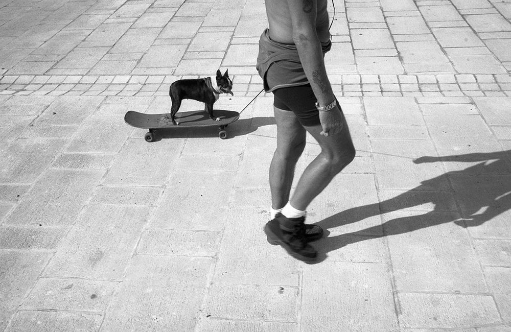 Dog Scating (From The Series Qmanlyq) art print by Dieter Matthes for $57.95 CAD