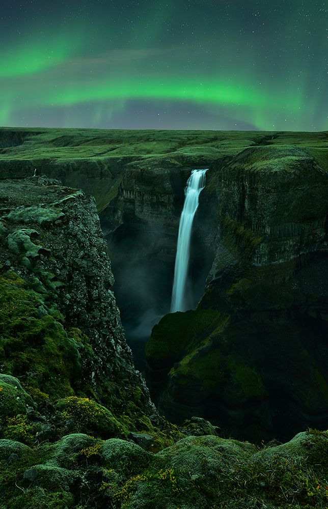 Green Night art print by Mei Xu for $57.95 CAD