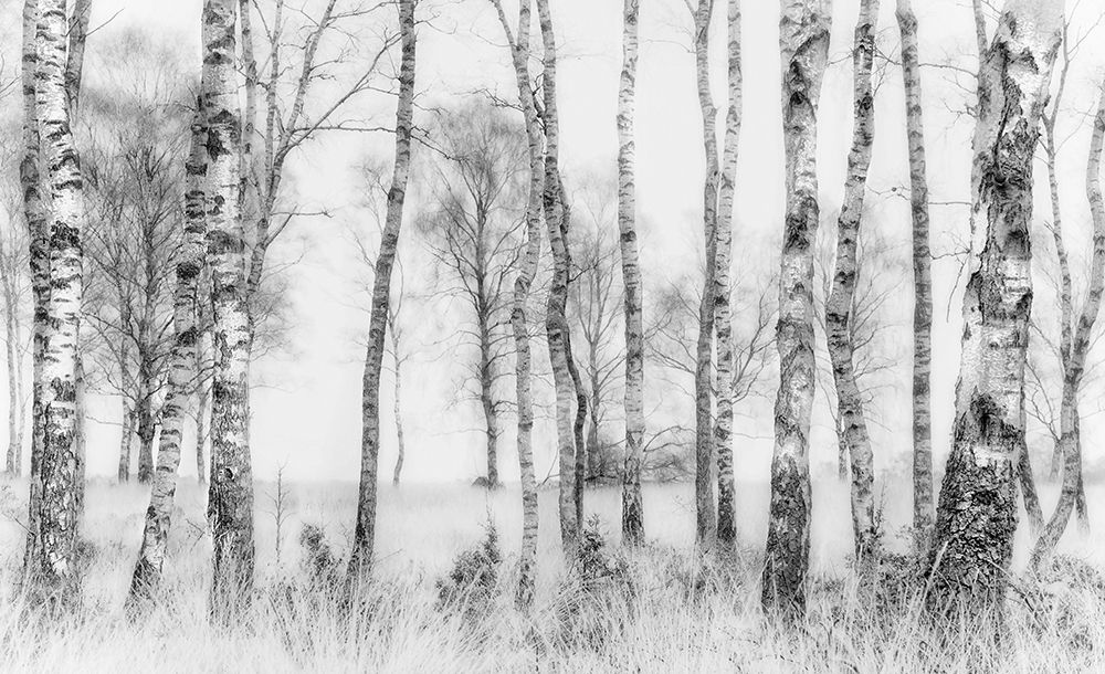 Black And White art print by Nel Talen for $57.95 CAD
