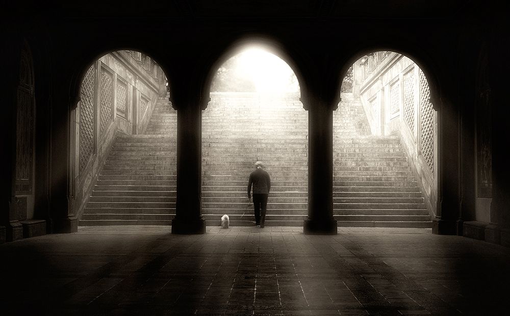 Morning walk art print by Louis-Philippe Provost for $57.95 CAD