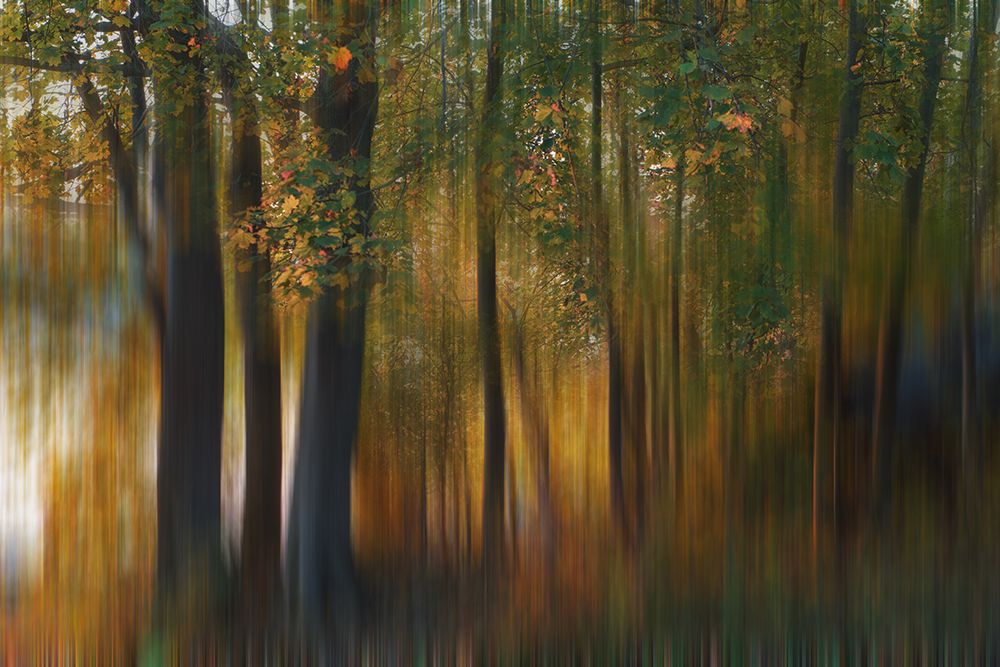 Fall Impression #1 art print by Austin for $57.95 CAD