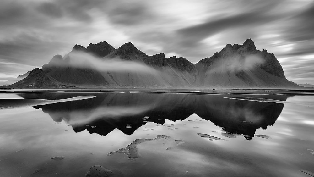 Monochrome Majesty art print by Rebecca Ramaley for $57.95 CAD