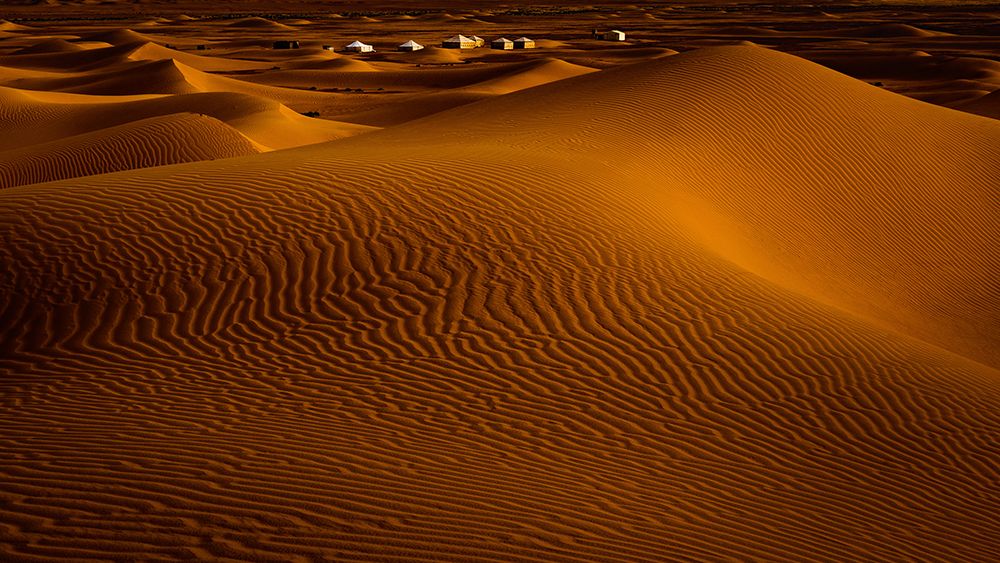 Desert Camp art print by Martin Steeb for $57.95 CAD