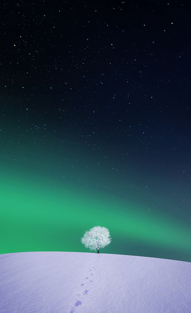 Apple art print by Bess Hamiti for $57.95 CAD