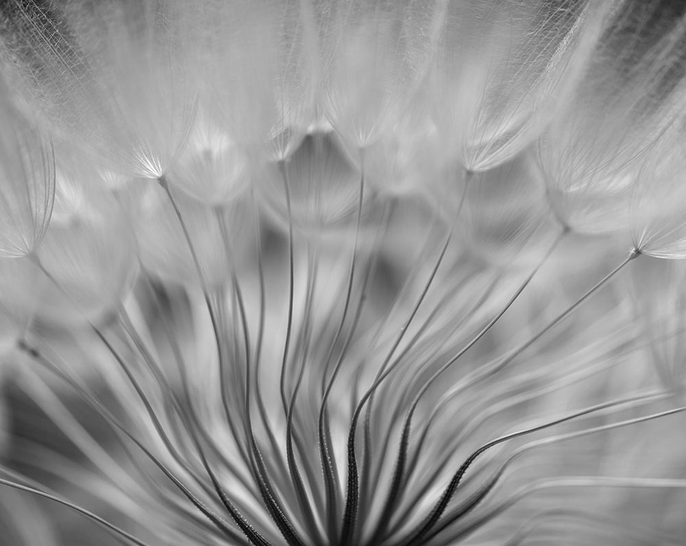 Dream art print by Keren Or for $57.95 CAD