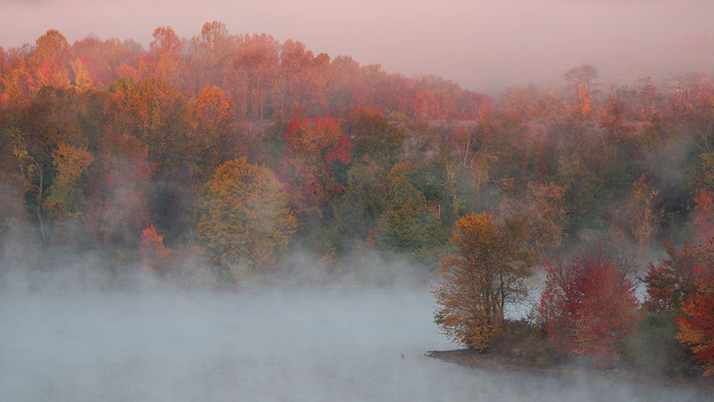 Fall Impression #3 art print by Austin for $57.95 CAD