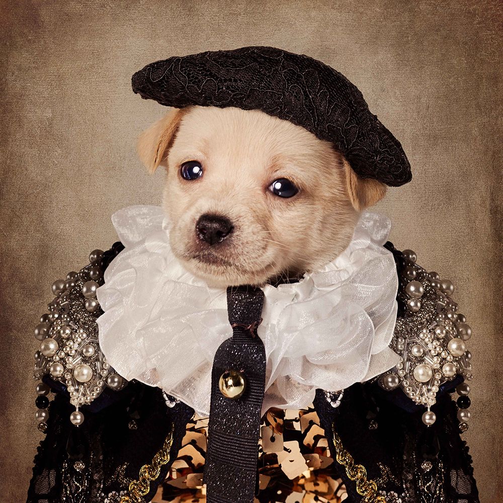 Shelter Pets Project - Mia art print by Tammy Swarek for $57.95 CAD