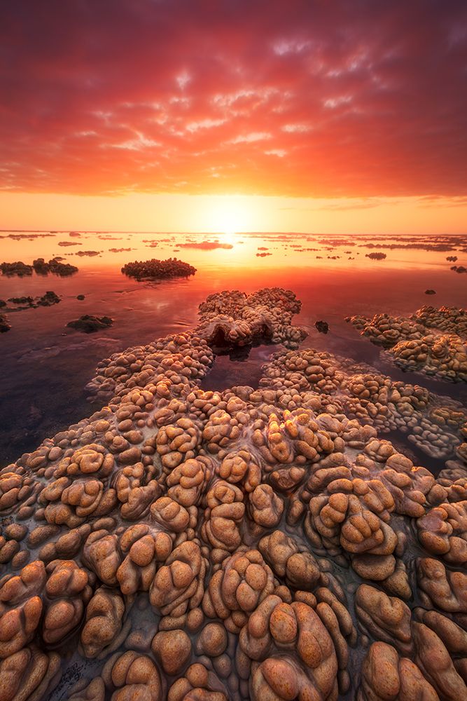 Low Tide On The Lagoon Of Saint Leu. art print by Barathieu Gabriel for $57.95 CAD