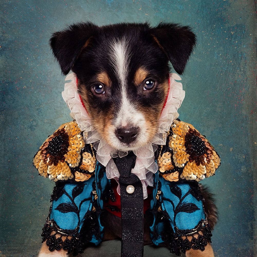 Shelter Pets Project - Loki art print by Tammy Swarek for $57.95 CAD
