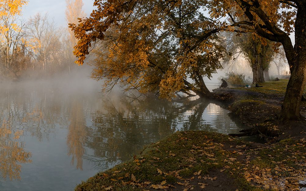 Autumn misty morning with a lone fisherman art print by Alexander Plekhanov for $57.95 CAD