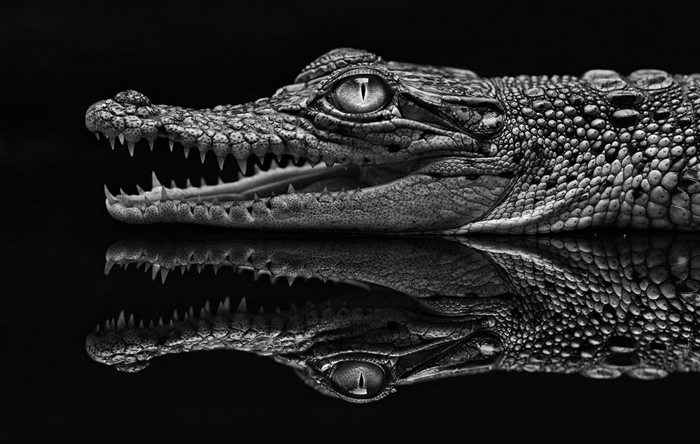 Dark Mirror art print by Jeffriy Haryanto for $57.95 CAD