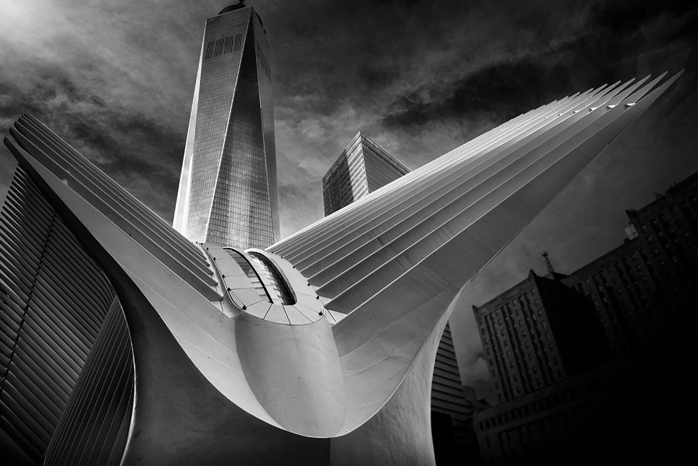 Oculus #01 art print by Alessio Forlano for $57.95 CAD
