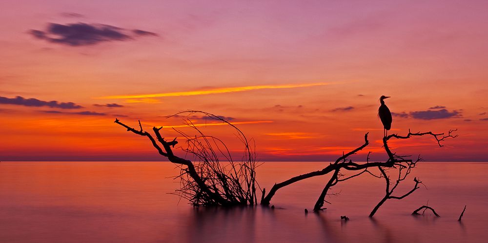 Quiet evening art print by verdon for $57.95 CAD
