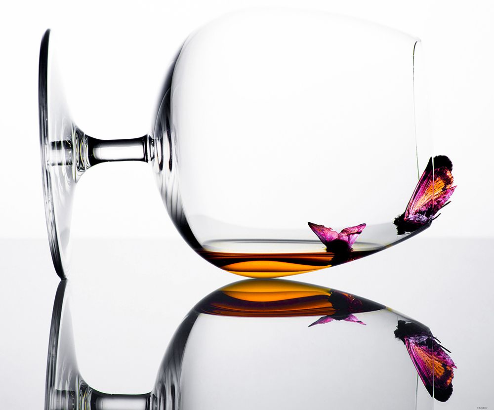Drunken Butterflies art print by Eyup Seker for $57.95 CAD