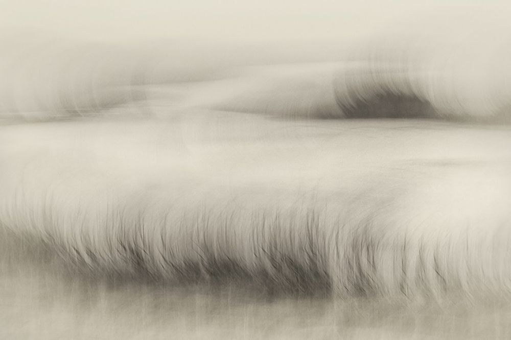 Waterside art print by Nel Talen for $57.95 CAD