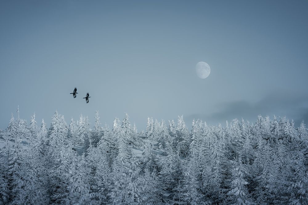 Frozen moon art print by Daniel Mirlea for $57.95 CAD