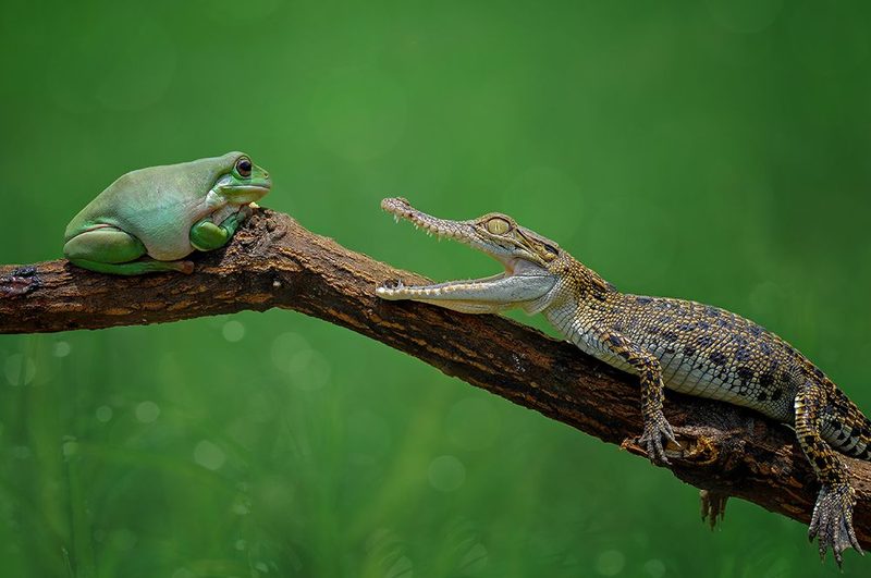 Are You Ready? art print by Edy Pamungkas for $57.95 CAD