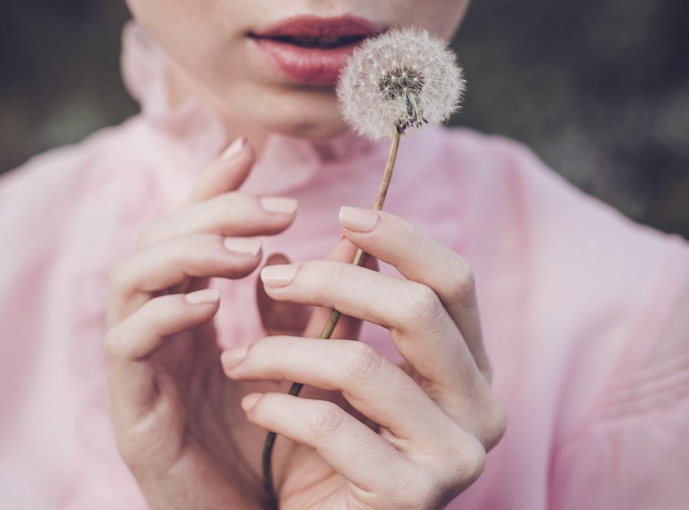Dandelion art print by Dorota Gorecka for $57.95 CAD