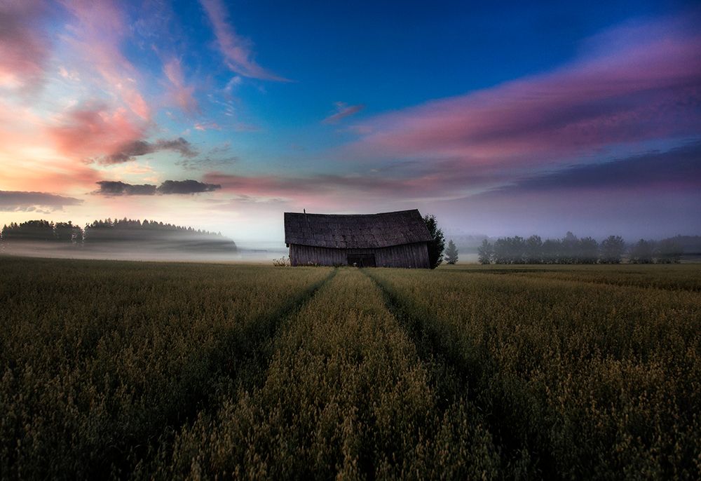 In the middle of the day. art print by Mika Suutari for $57.95 CAD