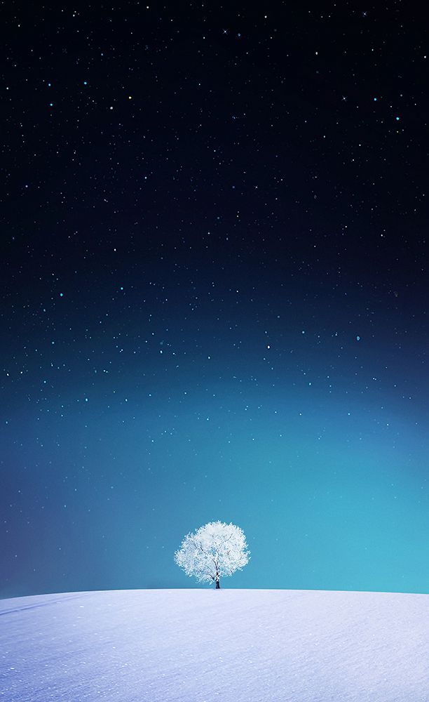 Apple art print by Bess Hamiti for $57.95 CAD