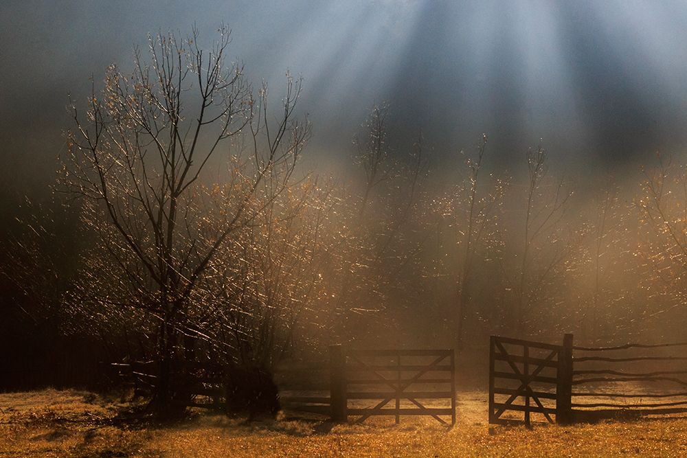 Heavens Door art print by Sveduneac Dorin Lucian for $57.95 CAD