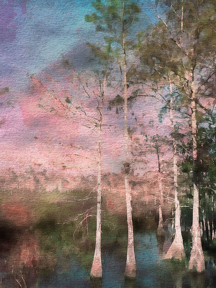 Everglades art print by Eduardo Llerandi for $57.95 CAD