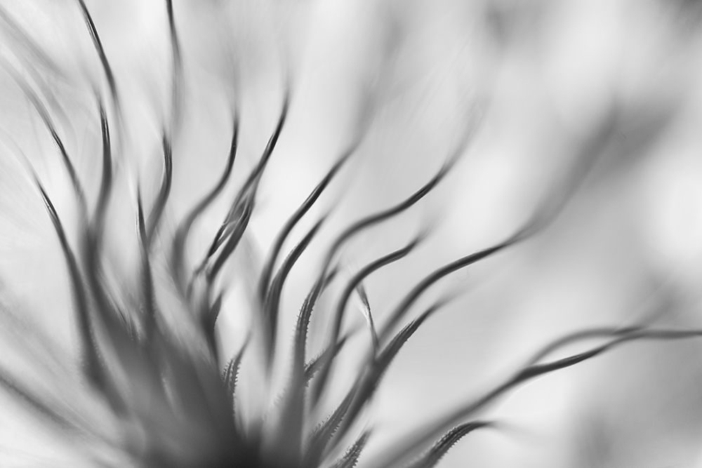 Untitled art print by Keren Or for $57.95 CAD
