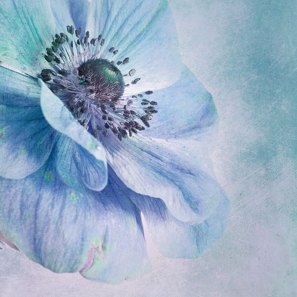 Shades Of Blue art print by Priska Wettstein for $57.95 CAD